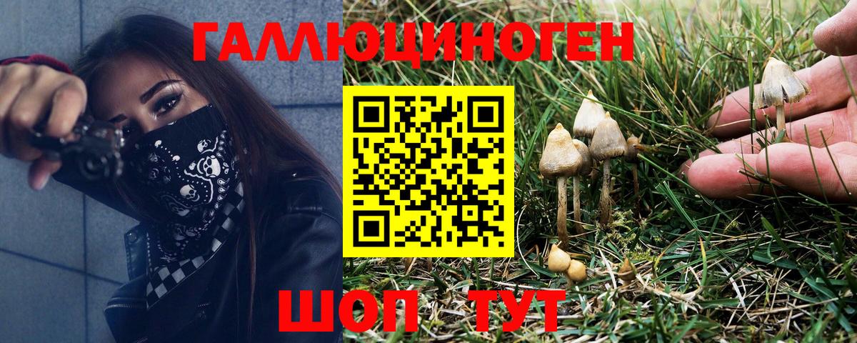 Раменское  Псилоцибиновые грибы MAGIC MUSHROOMS  Вход с VPN  Псилоцибиновые грибы мицелий 